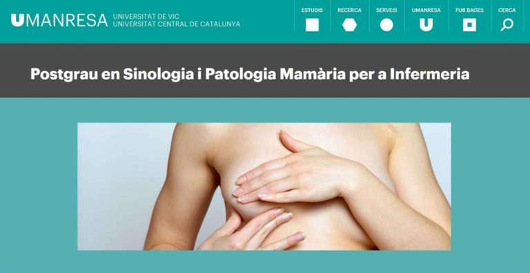 Postgrau Sinologia FHSJDM UVic-UCC